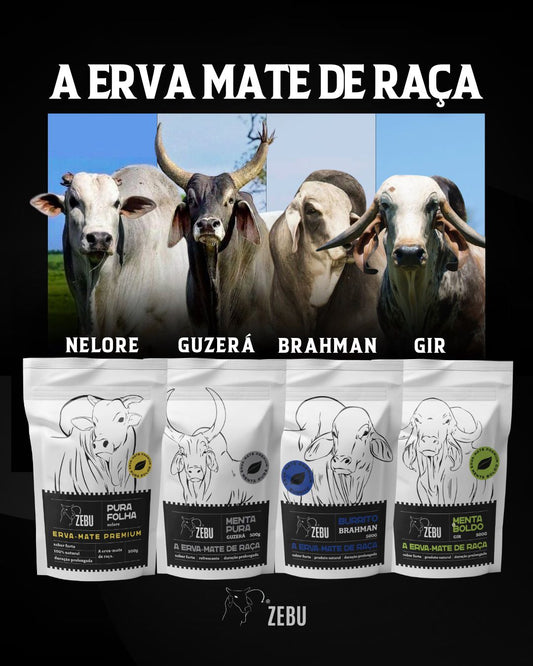 Zebu Erva-Mate Gir - Menta Boldo